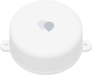 Extended Tag