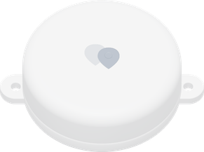 Standard Tag